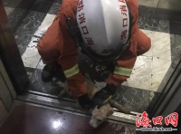 宠物狗被困电梯受惊咬伤小主人 海口消防官兵及时救援