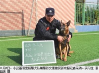 不救猫狗是不作为？新京报：救猫狗不是消防责任