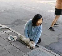宠物狗被车撞伤，女子当场号啕大哭，给狗做心肺复苏和人工呼吸