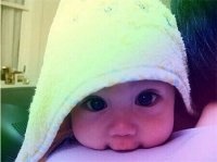 宠物狗受伤时六种急救方法