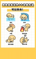 狗狗突发意外6个急救方法