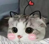 公安提醒：宠物狗、宠物猫免费领养？多是骗局！