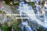 专业博美犬领养转让平台（选择信誉保障给您最好的宠物伴侣）