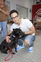 年底了，上海想要宠物领养的朋友，警惕宠物领养救助的新型骗局吧