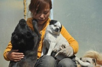 想知道哪里可以领养狗狗？来这里，我们告诉你最全的领养途径！