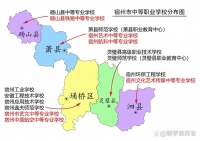 宠物领养背后所不为人知的黑幕