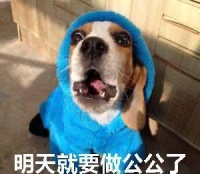 你家的宠物狗狗做绝育了吗？狗子要不要做绝育手术！