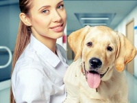 第6期：狗狗绝育怎么做？看懂这篇不花冤枉钱