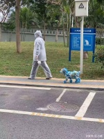 给狗狗戴口罩去散步？这样遛狗毫无灵魂！不让狗狗嗅闻才更有害