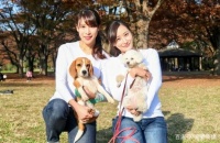 带狗狗散步有哪些好处，资深专家打破误导说法，让狗狗更健康