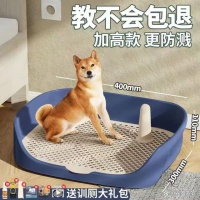 宠物狗狗便盆尿盆用品全集，一站式解决宠物大小便困扰！