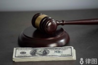 宠物狗咬人事件法律责任是什么？