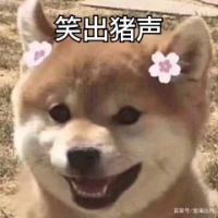 宠物猫和宠物狗也能买保险啦！支付宝开放宠物鼻纹识别技术