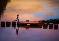 宠物受宠，宠物保险“不受宠”