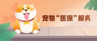 京东上线“宠物医疗卡”：0免赔、全病种保障、80%赔付比例、2500家医院到店直赔