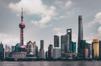 撞宠物狗保险赔多少