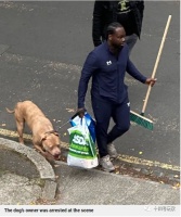 在欧美，咬人的恶犬跟狗主会被如何处理？