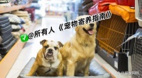 宠物寄养指南，相信总有一天你会用到的！