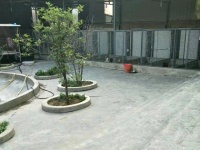 【图片】要过年了，成都猫狗宠物寄养一:如果看到我的发布，请各位亲们尽量仔细耐心阅读，因为我是真诚的，成都市区需要寄养猫狗的亲们【金毛吧】