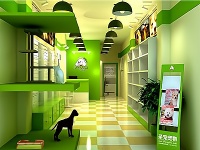 狗狗寄养中心：你的创业新机遇，专业服务为宠物狗提供安全可靠的寄养环境！