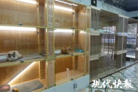 春节临近宠物寄养火热，南京多家店铺一“窝”难求