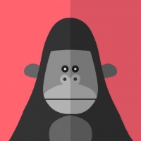 德宠club：训练宠物狗，养成独立的性格