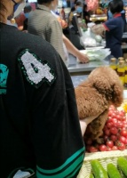 苏州一女子将狗直接放在生鲜食品上，涉事超市回应：发现后已消毒