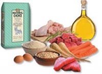 选择宠物狗食品的注意事项