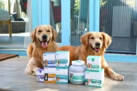 2023宠物保健品行业的发展趋势以及市场现况解析