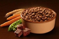 2022年宠物食品十大品牌影响力排行