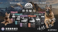 CHARM野性魅力：产品优势与宠物生活品质的提升