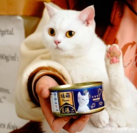 什么牌子的猫罐头营养又实惠？平价质量口碑较好的猫罐头