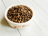 探秘不增肥的猫粮：哪些品牌让你的猫咪保持完美身材！