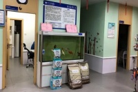 宠物医院独特优势：结合创新技术与温暖关怀。