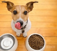 麦仕宠物食品(上海)有限公司