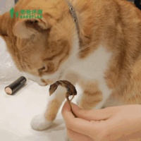 细菌超标340倍的宠物零食！别再买了！