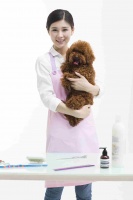 宠物营养行业前景,以下信息要了解！