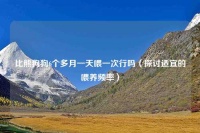 比熊狗狗6个多月一天喂一次行吗（探讨适宜的喂养频率）