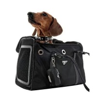 时尚的下一个亿万级风口，宠物时尚！