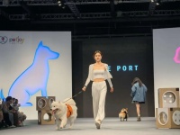 宠物撞上时尚，萌翻了……