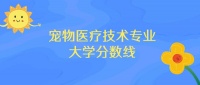 四川宠物医疗技术专业大学排名及分数线（前十的学校一览表）