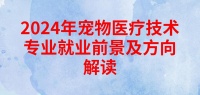 2024年宠物医疗技术专业就业前景及方向解读