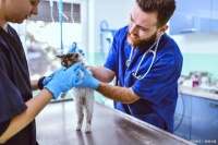 宠物临床诊疗技术