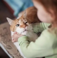 养宠物，学习尊重生命-----