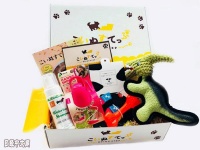 日本流行给狗狗报班听讲座，价格竟比孩子早教还贵