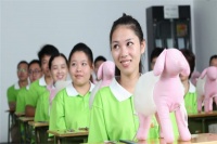 君宠宠物美容培训学校加盟 加盟费多少 电话 怎么样