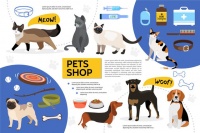 养宠物快乐生活指南！实用经验技巧帮你轻松享受养宠乐趣