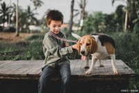 孩子是否应该接受宠物教育？五个方法告诉你