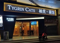 宠物服务是未来宠物消费的着力点所在