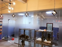 宠物善终服务：专业、有爱心、有前景，是您创业的最佳选择！